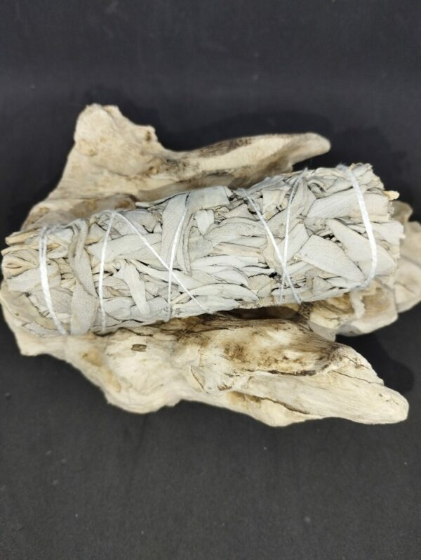 Fagot de sauge blanche