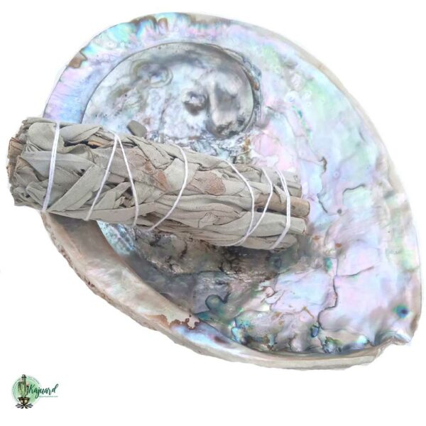 Fagot de sauge blanche – Image 3