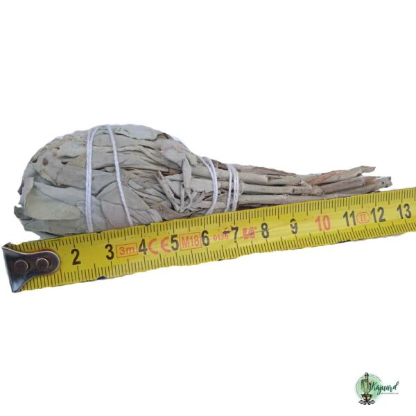 Fagot de sauge blanche en forme de torche – Image 2