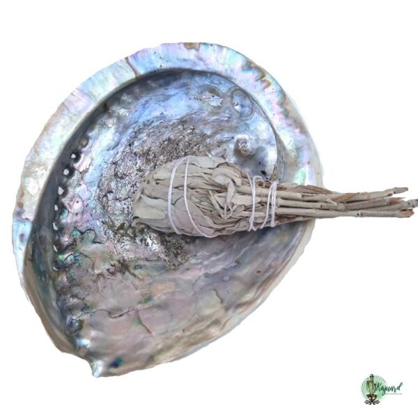 Fagot de sauge blanche en forme de torche – Image 3