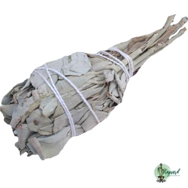 Fagot de sauge blanche en forme de torche