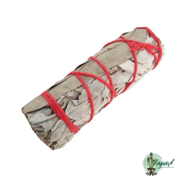 Fagot de sauge blanche et eucalyptus