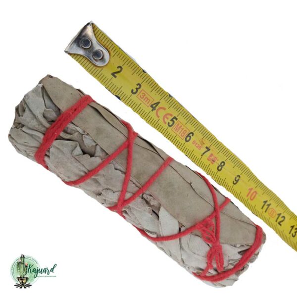 Fagot de sauge blanche et eucalyptus – Image 2