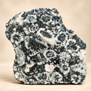 DIORITE ORBICULAIRE DE CORSE, CORSITE, NAPOLÉONITE